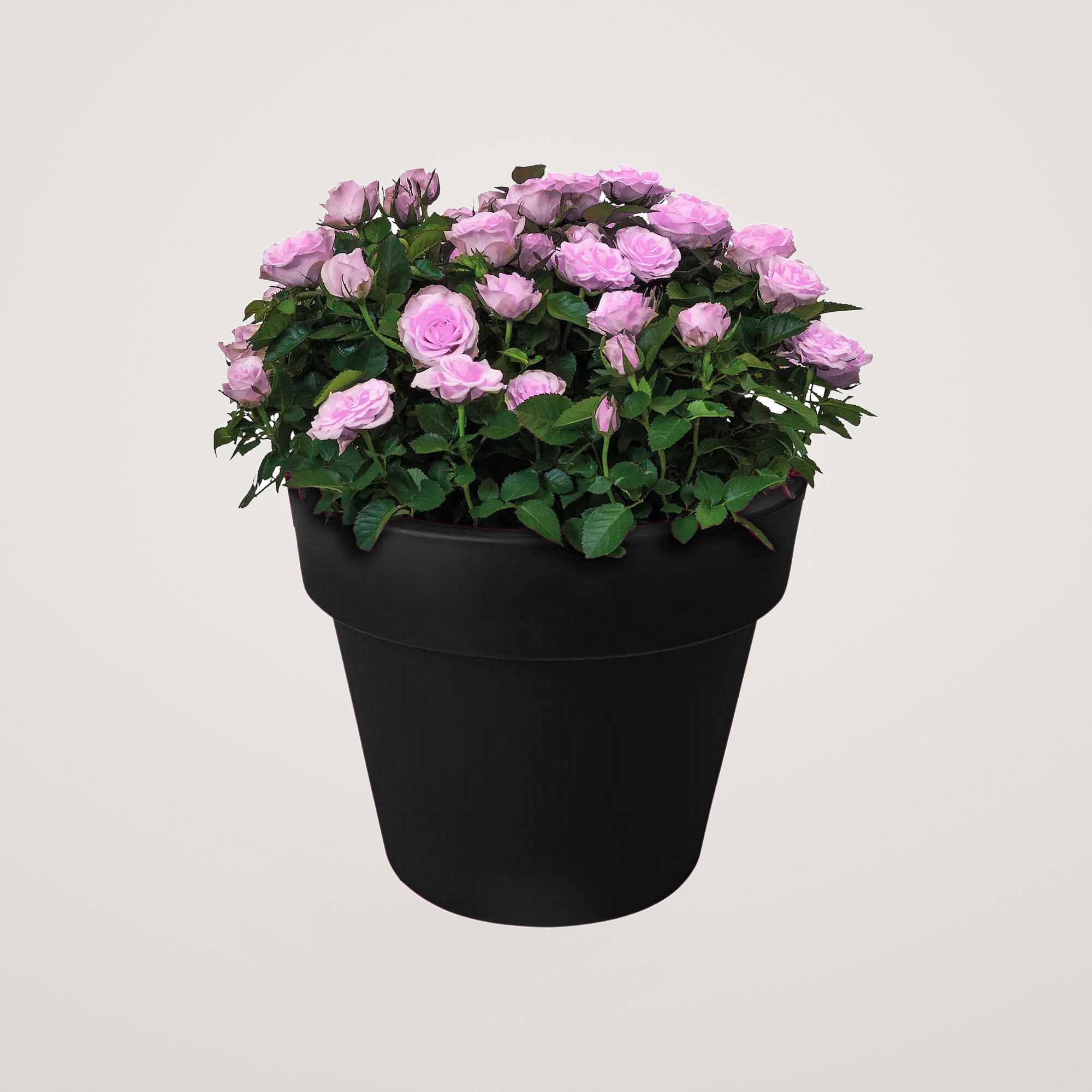green basics top planter 30cm living black - imagine 5