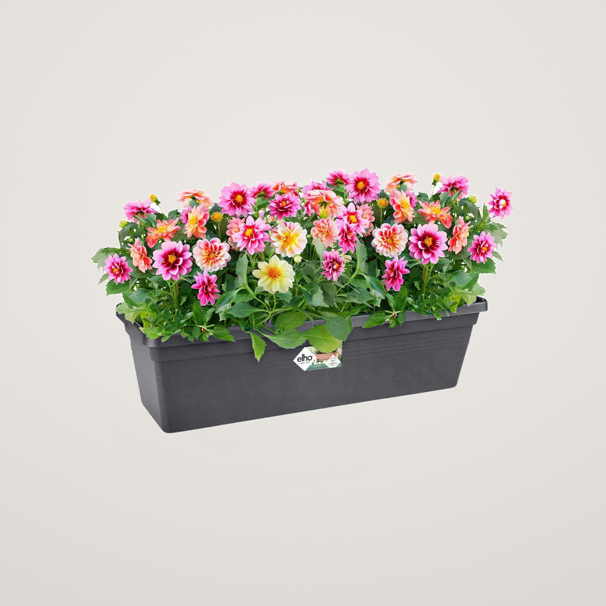 green basics trough 40cm living black - imagine 4