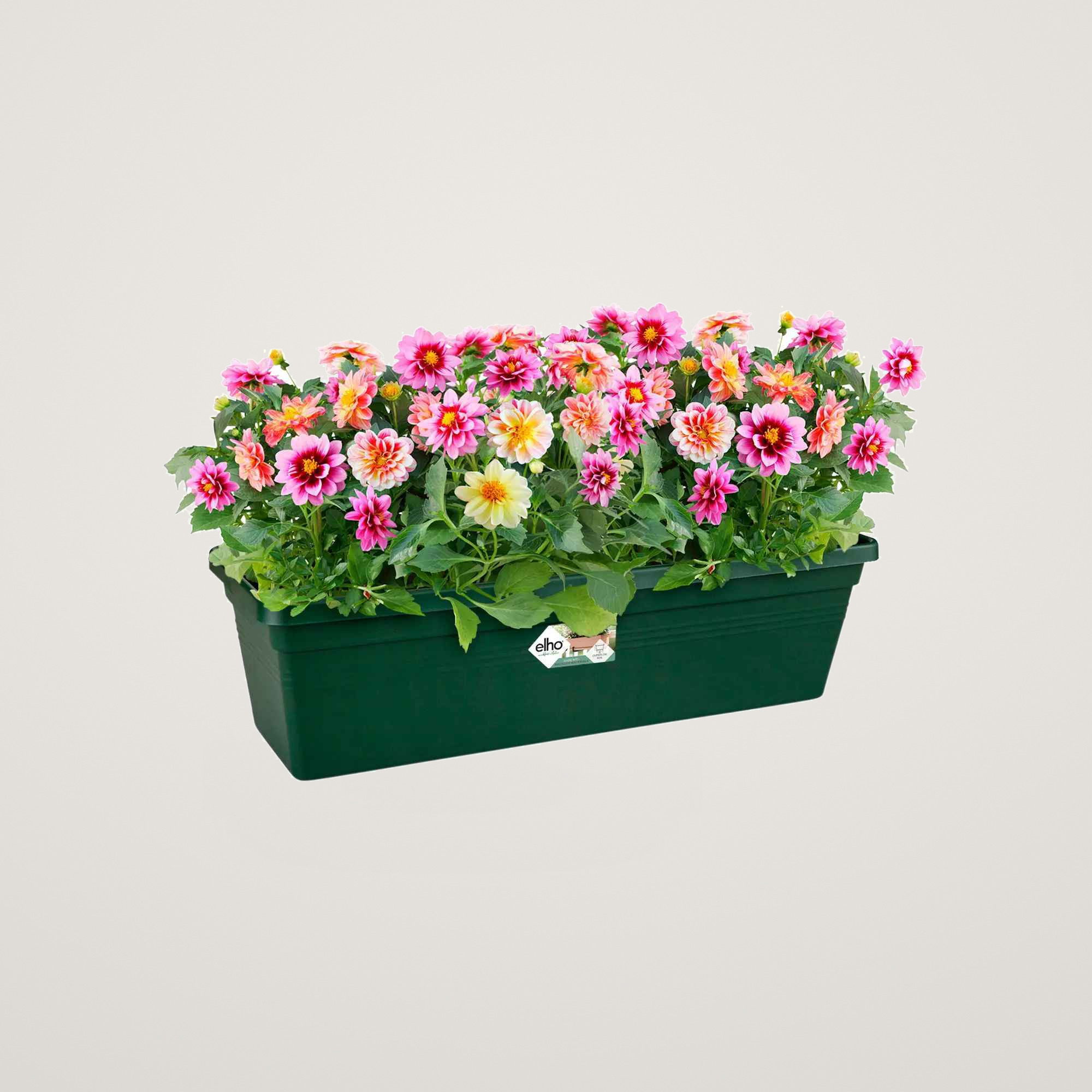 Jardiniera green basics 80cm, culoarea verde - imagine 3
