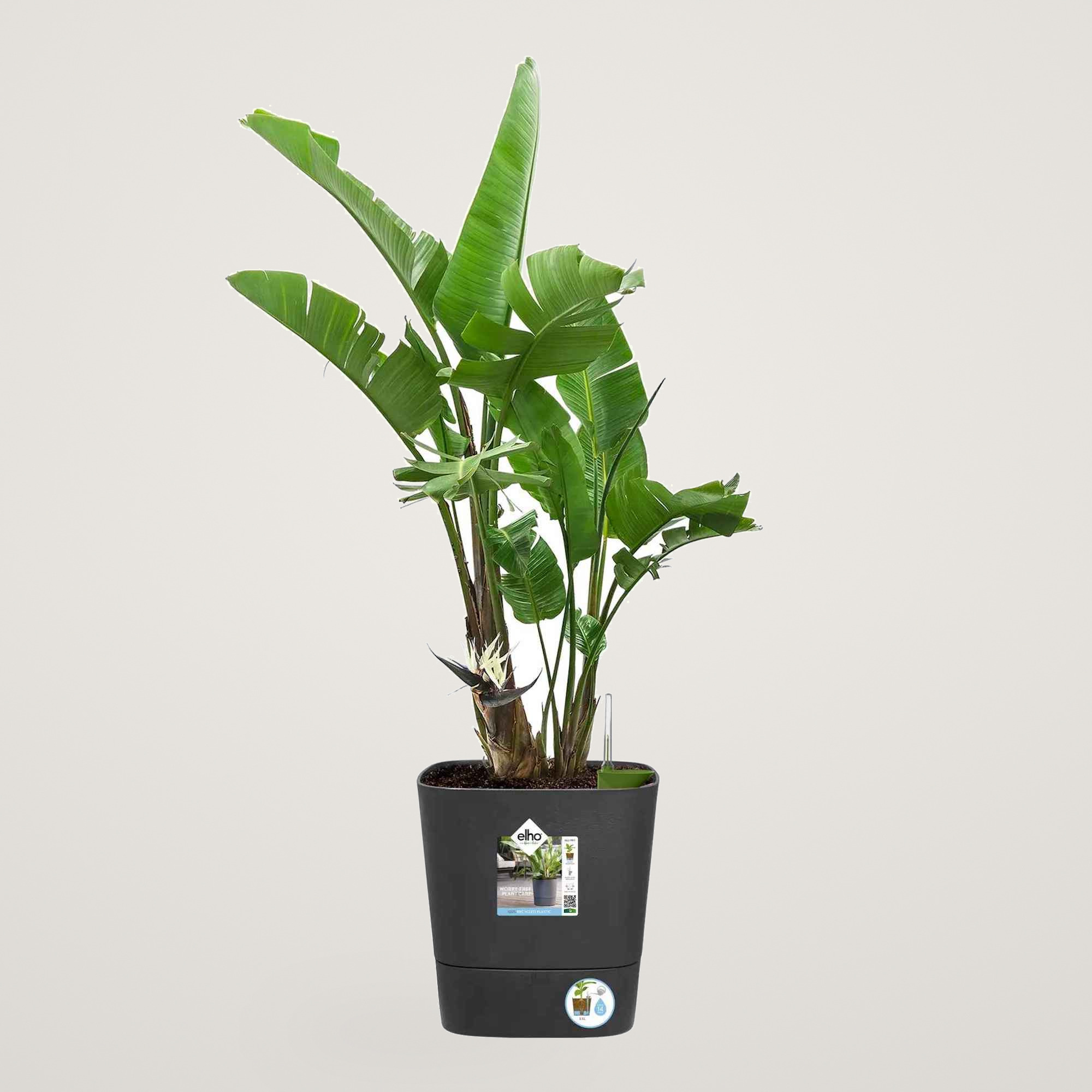 greensense aqua care square 30cm charcoal grey - imagine 5