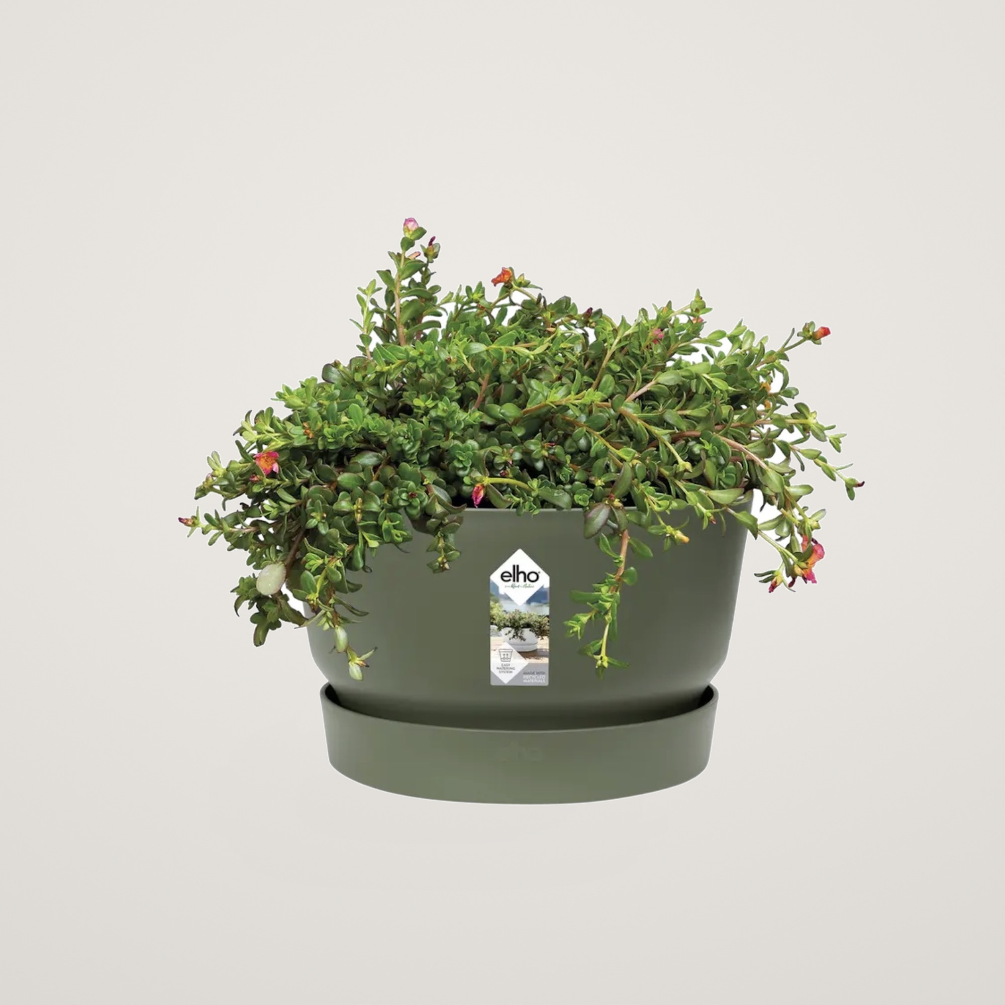 greenville bowl 33cm leaf green - imagine 2
