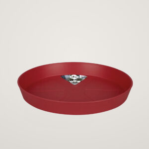 loft urban saucer round 21cm cranberry red