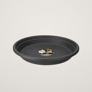 universal saucer round 19cm anthracite