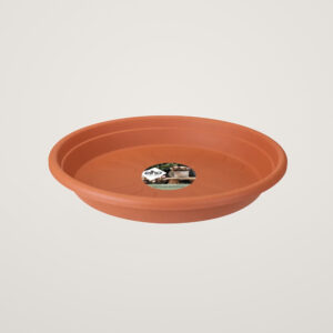 universal saucer round 35cm terra