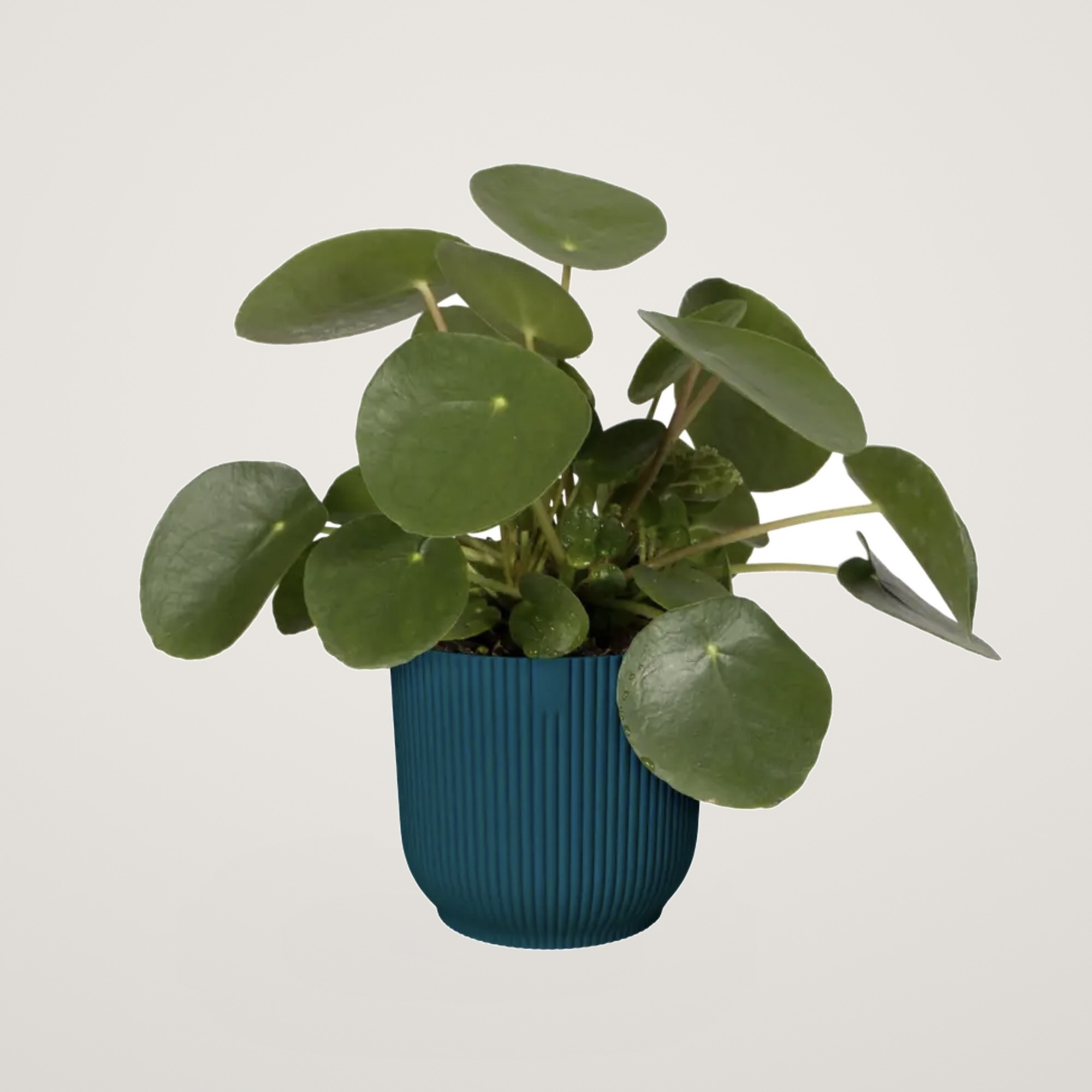vibes fold round 14cm deep blue - imagine 2