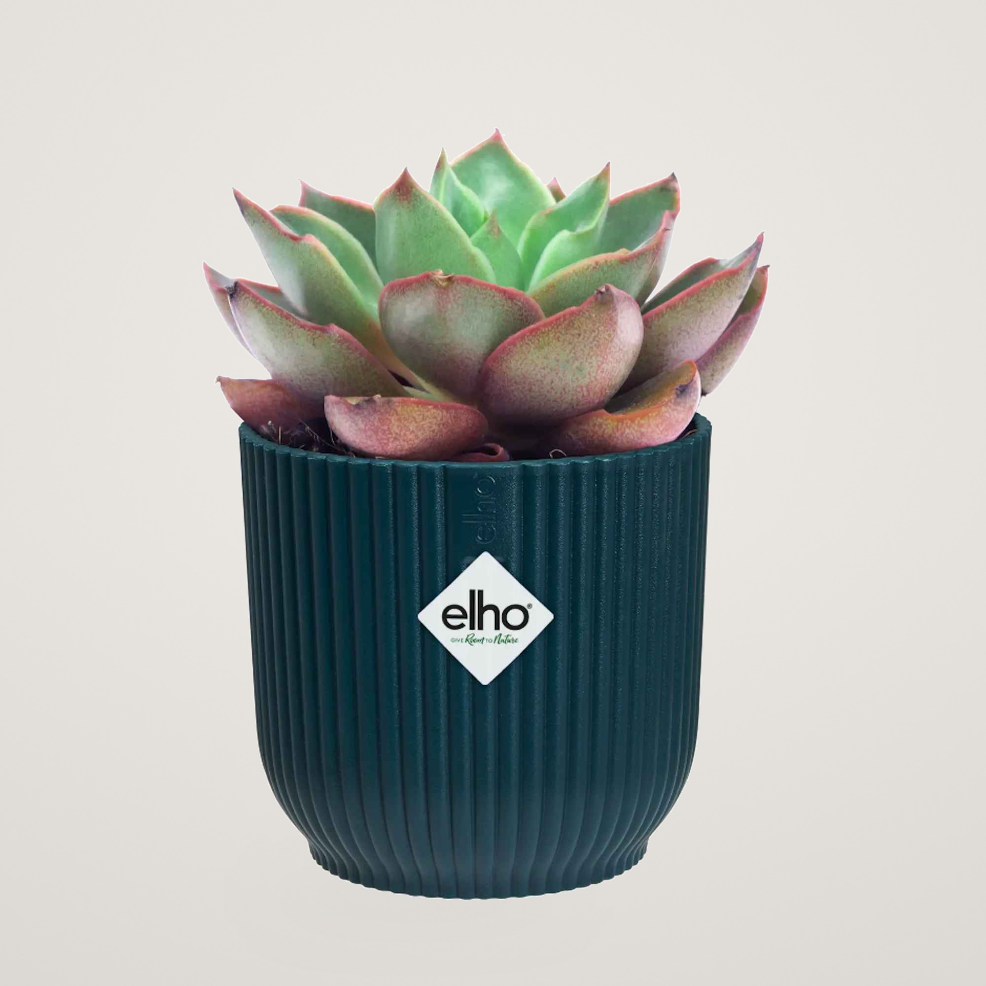 vibes fold round mini 7cm deep blue - imagine 2
