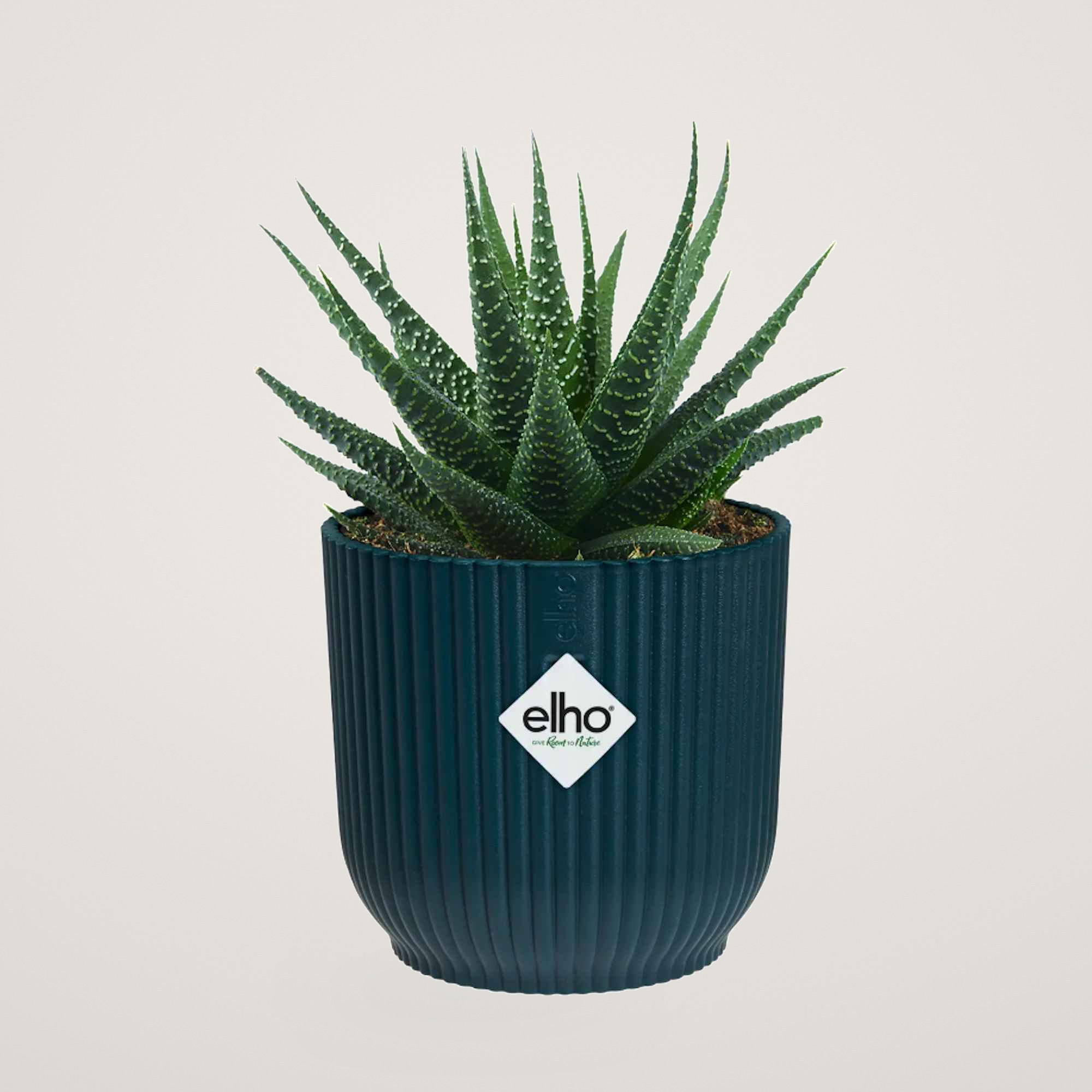 vibes fold round mini 7cm deep blue - imagine 3