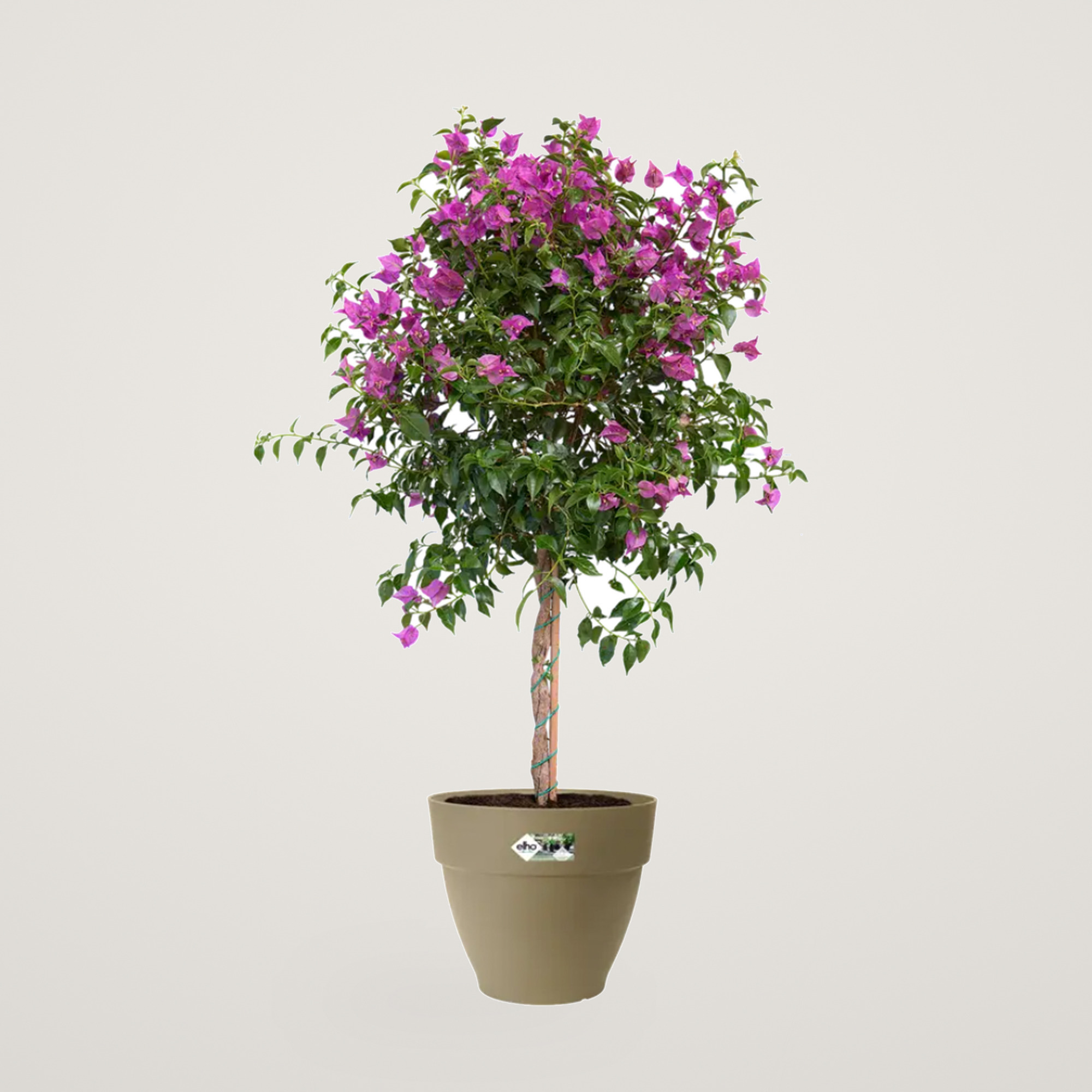 vibia campana round 40cm sage green - imagine 5