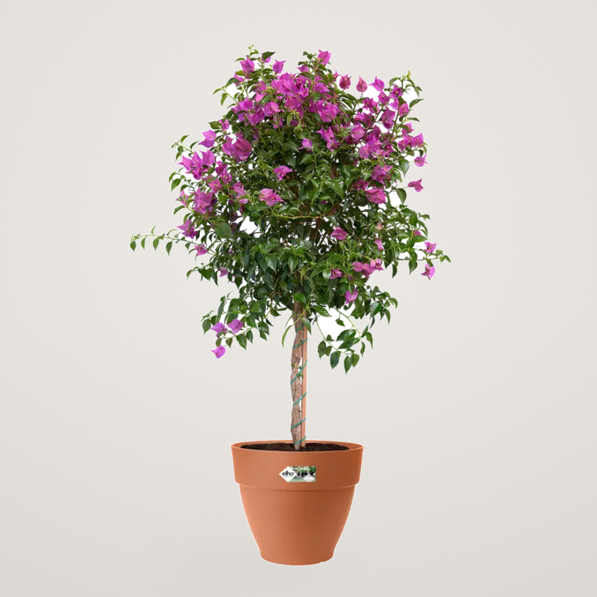 vibia campana round 40cm terra - imagine 5