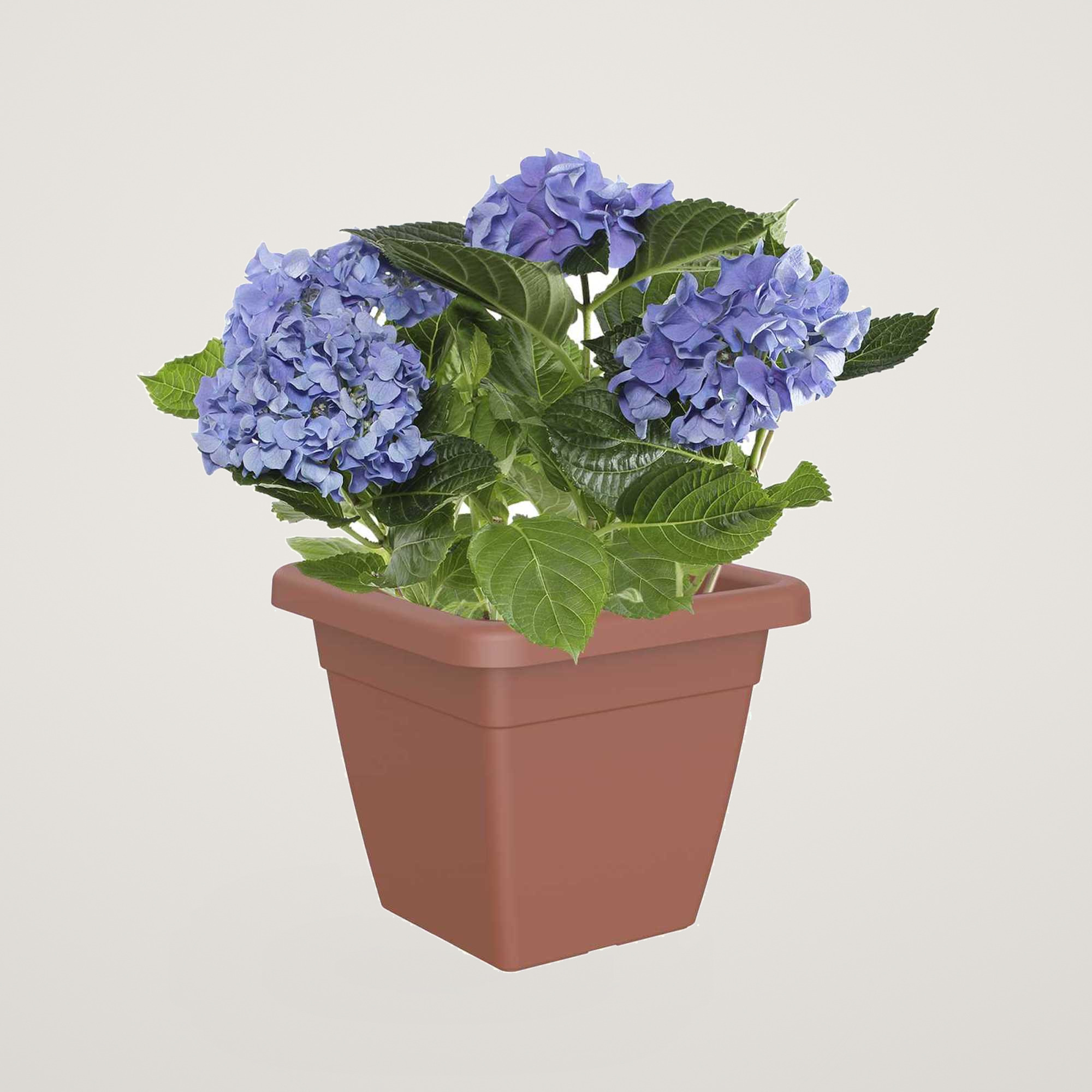 Ghiveci patrat Venezia 40cm, culoarea terra - imagine 2