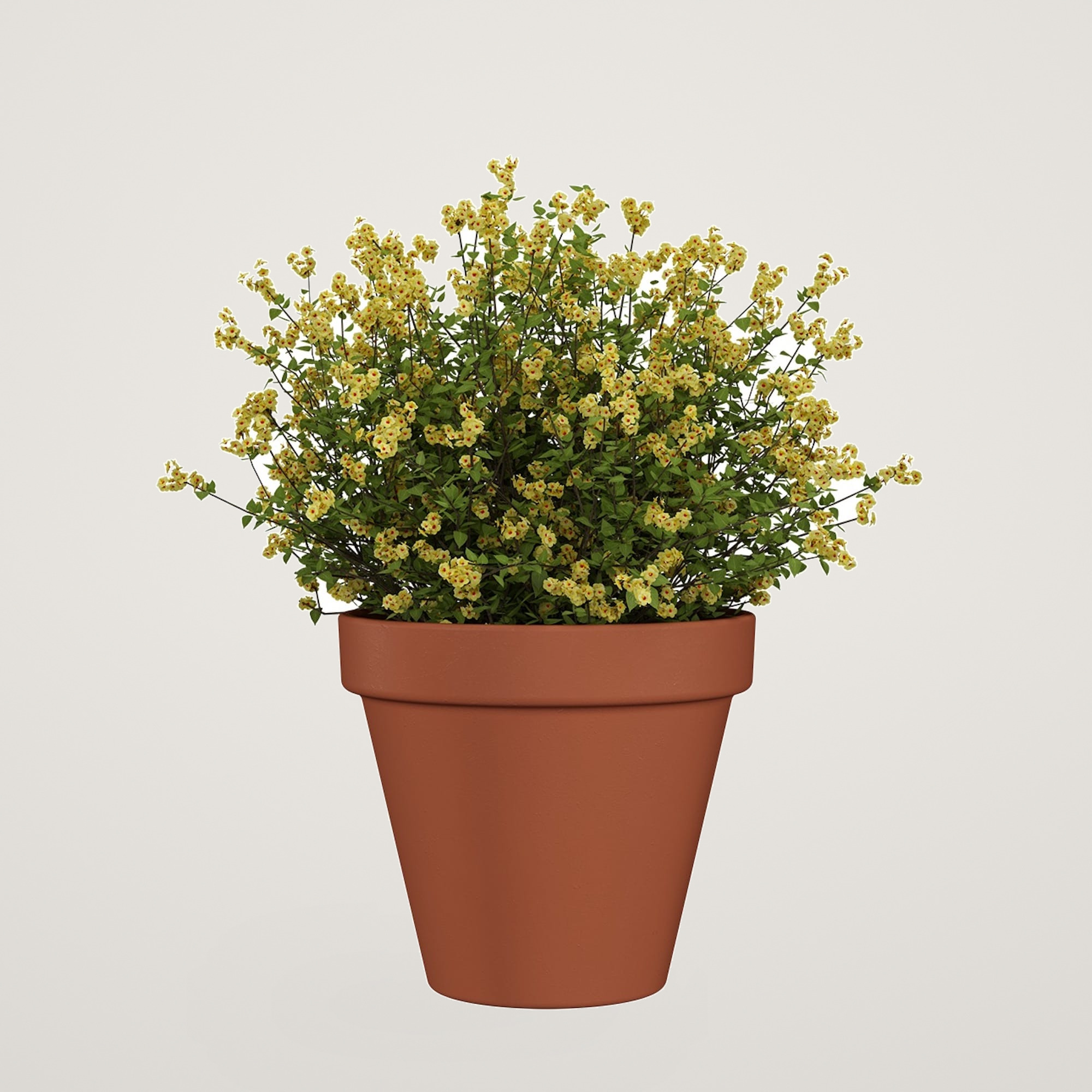 Ghiveci ceramic Amalia 39cm, culoarea natural - imagine 3