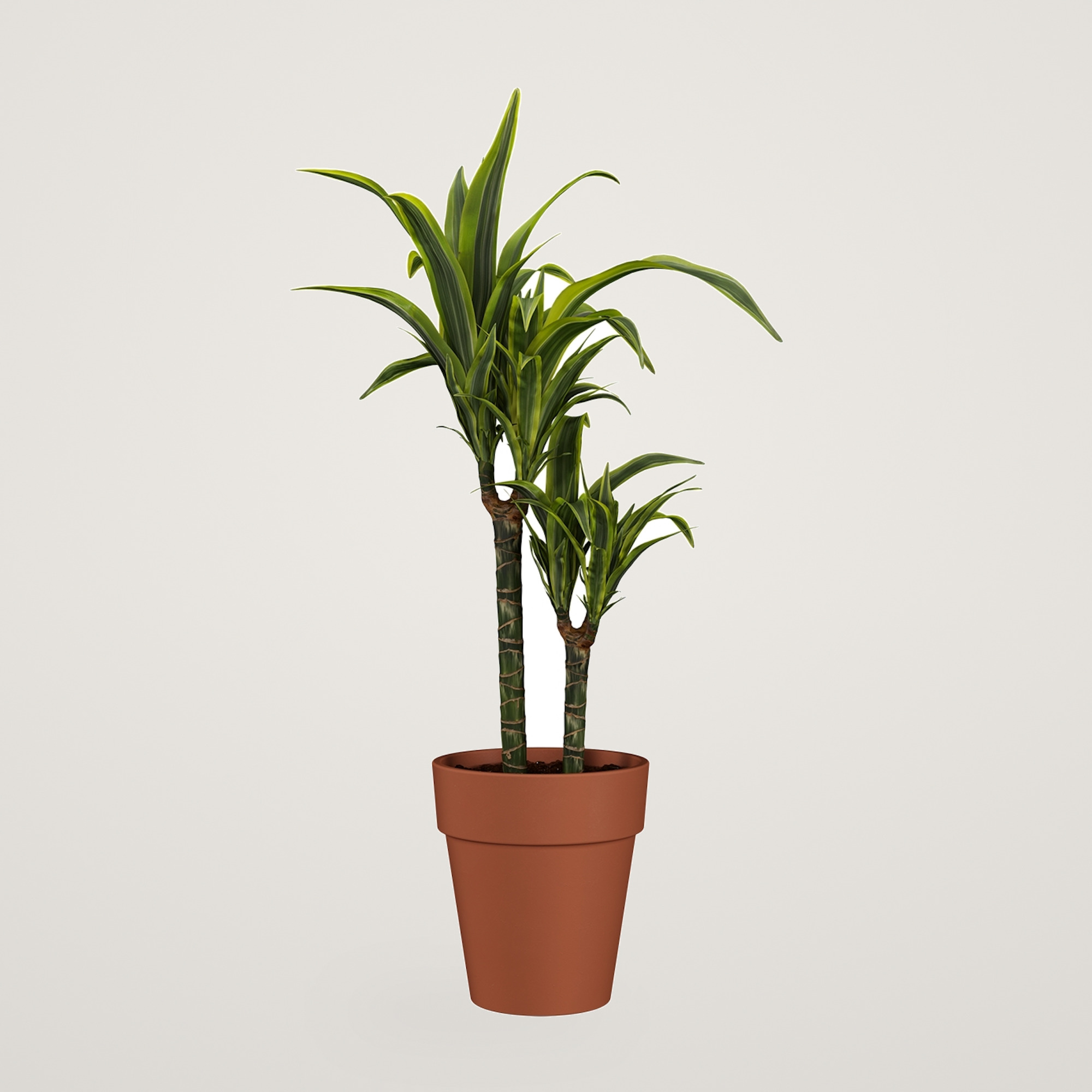 Ghiveci ceramic Amalia High 35cm, culoarea natural - imagine 5