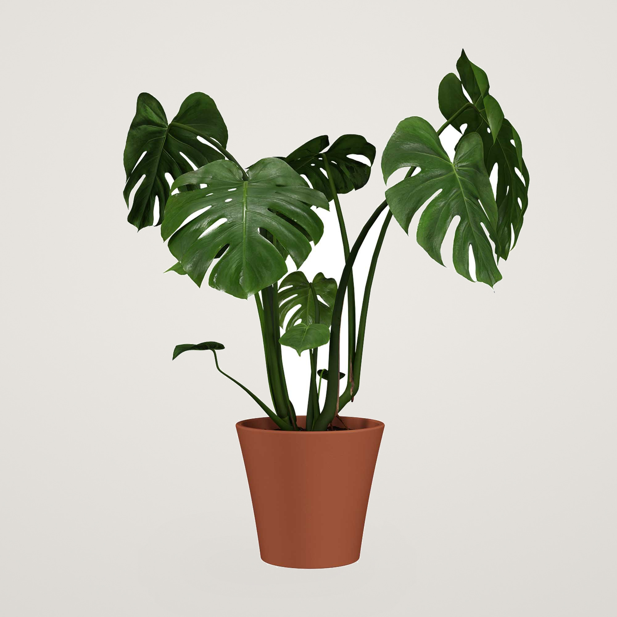 Ghiveci ceramic Manuel 36cm, culoarea natural - imagine 3
