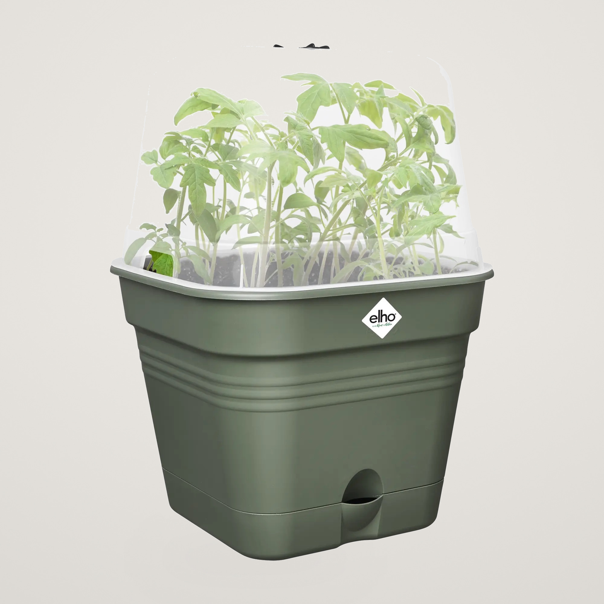 green basics growpot square allin1 15cm, culoare leaf green - imagine 2