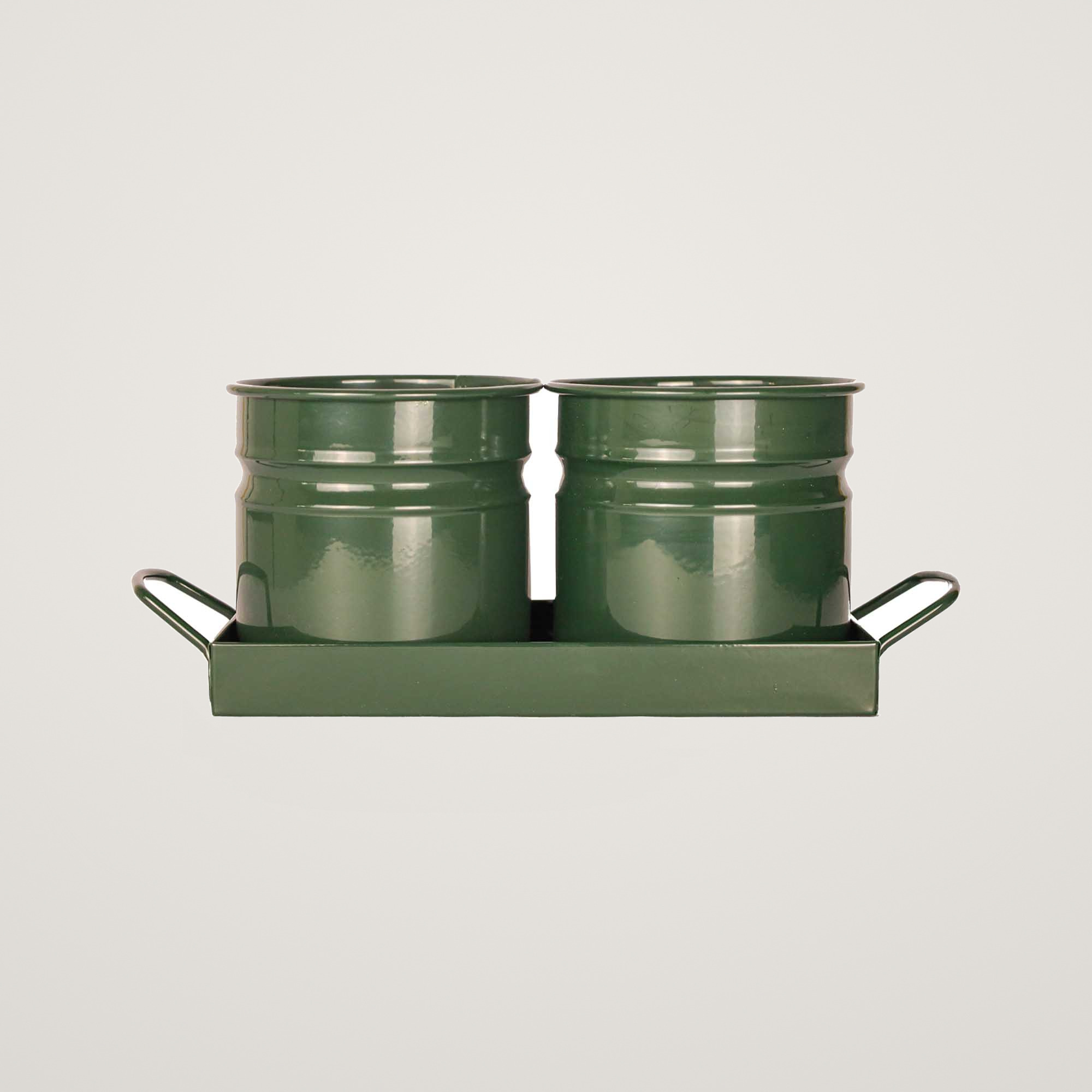 Tavita din metal cu 2 minighivecele Mary's Garden Supplies 30 cm, culoarea verde