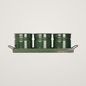 Tavita din metal cu 3 minighivecele Mary's Garden Supplies 40 cm, culoarea verde