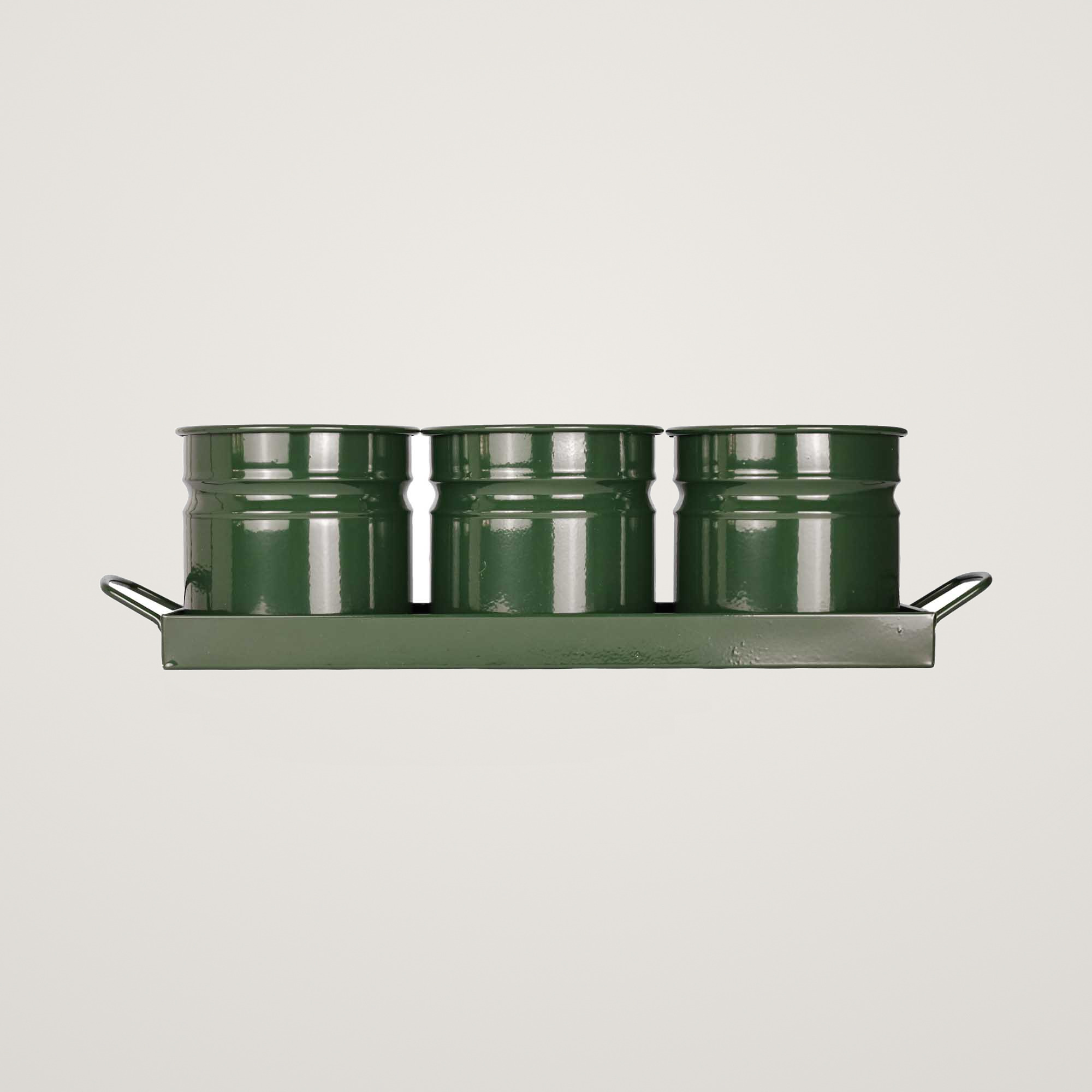 Tavita din metal cu 3 minighivecele Mary's Garden Supplies 40 cm, culoarea verde