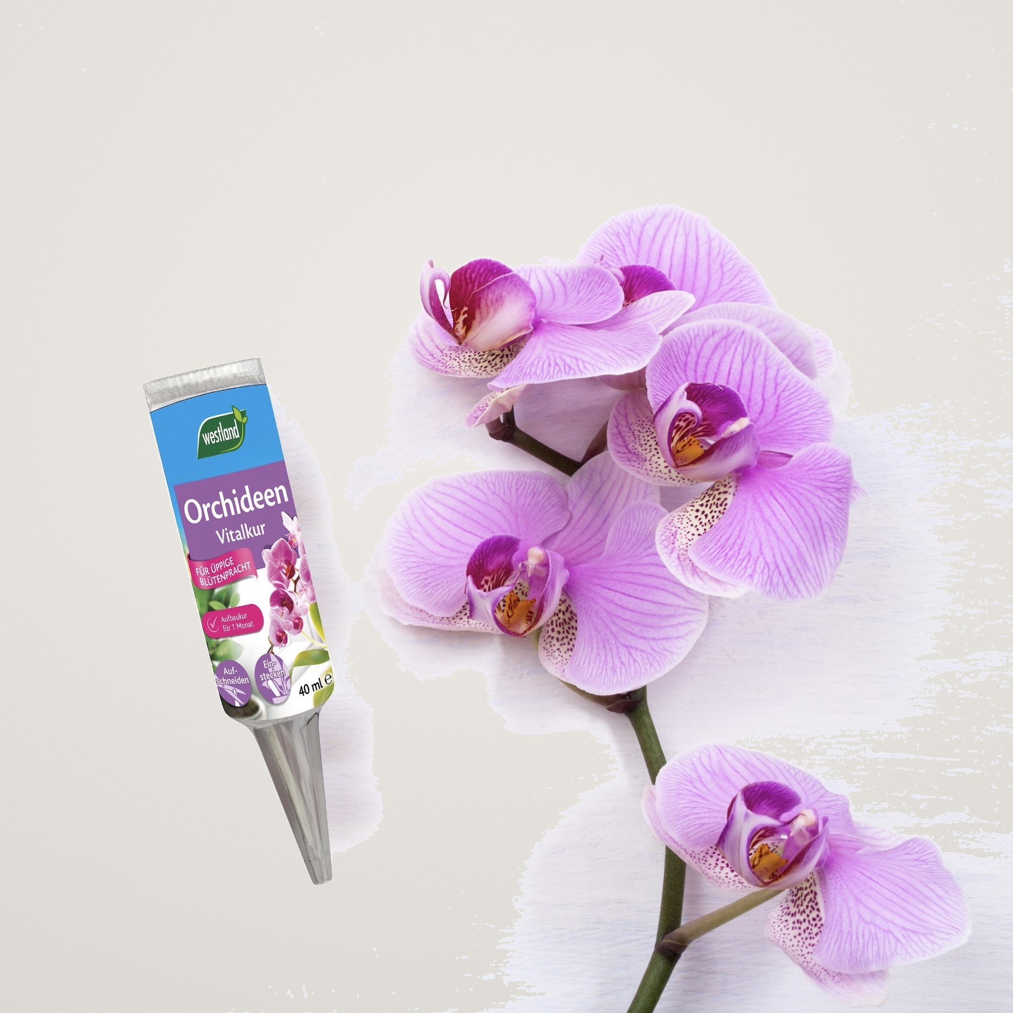 Ingrasamant pentru orhidee Westland, fiola de 40 ml - imagine 5