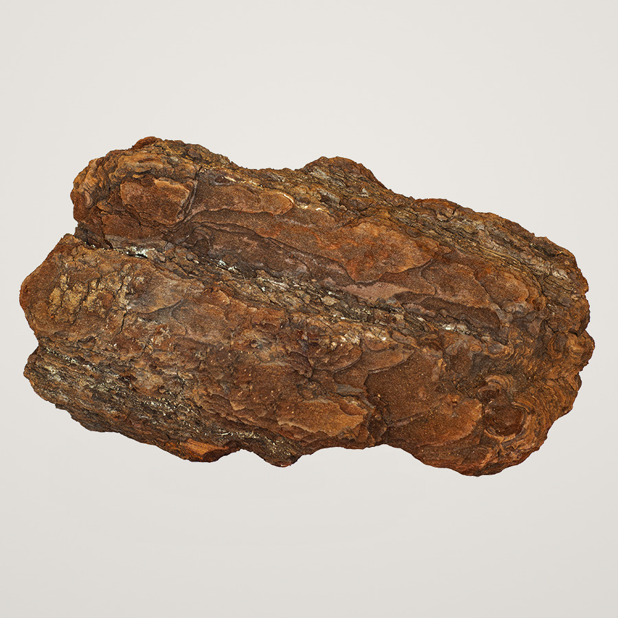 Scoarta de pin mediteranean Dr.Soil, piesa decorativa pentru aranjamente