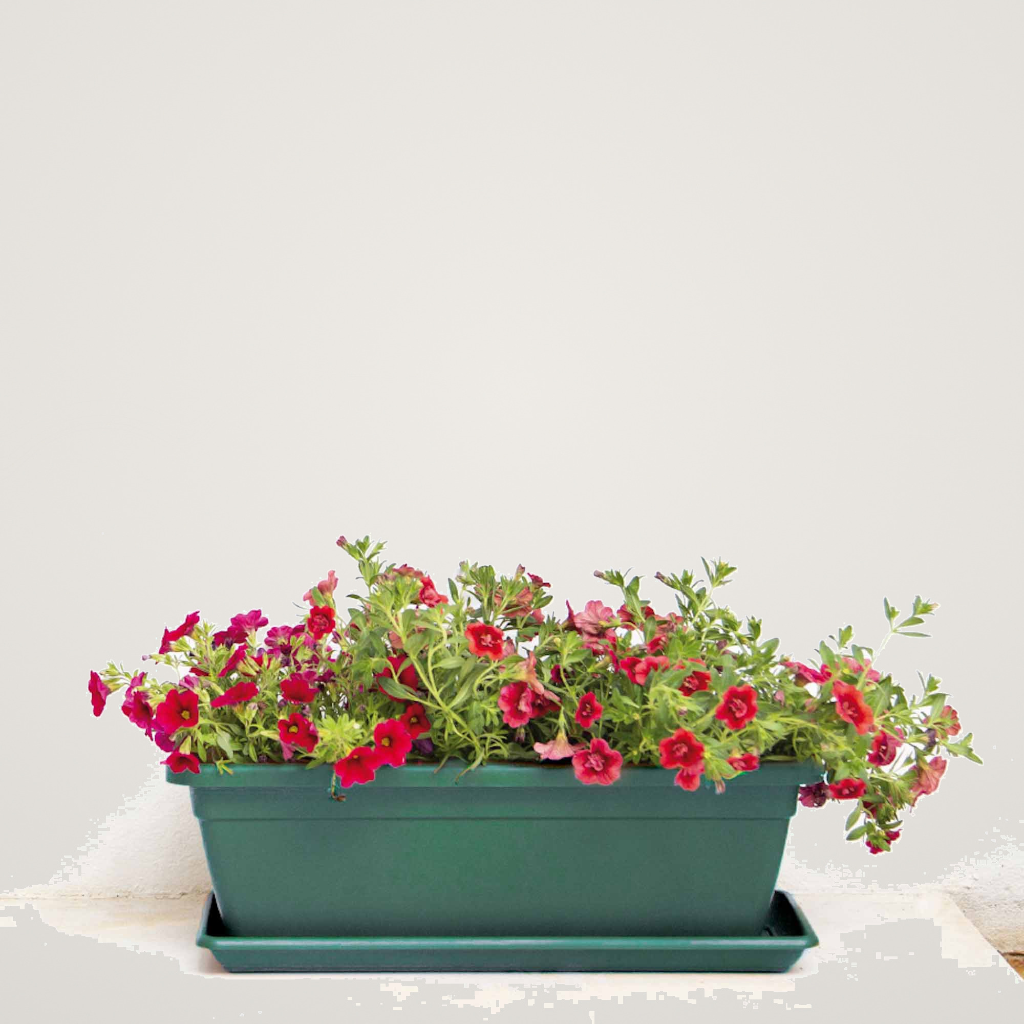 Farfurie pentru jardiniera Venezia XL 80cm, culoarea verde inchis - imagine 5