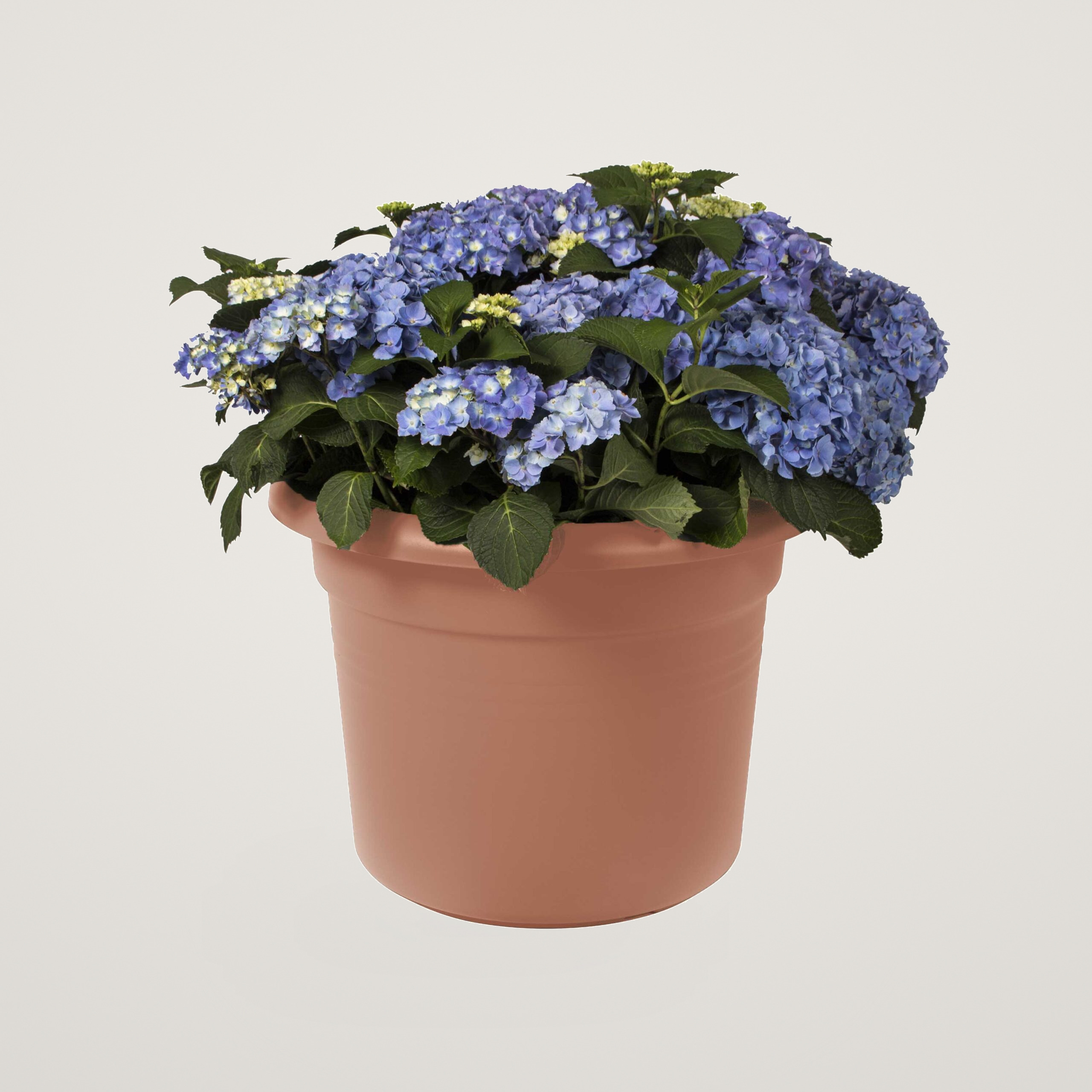 green basics cilinder 30cm mild terra - imagine 3
