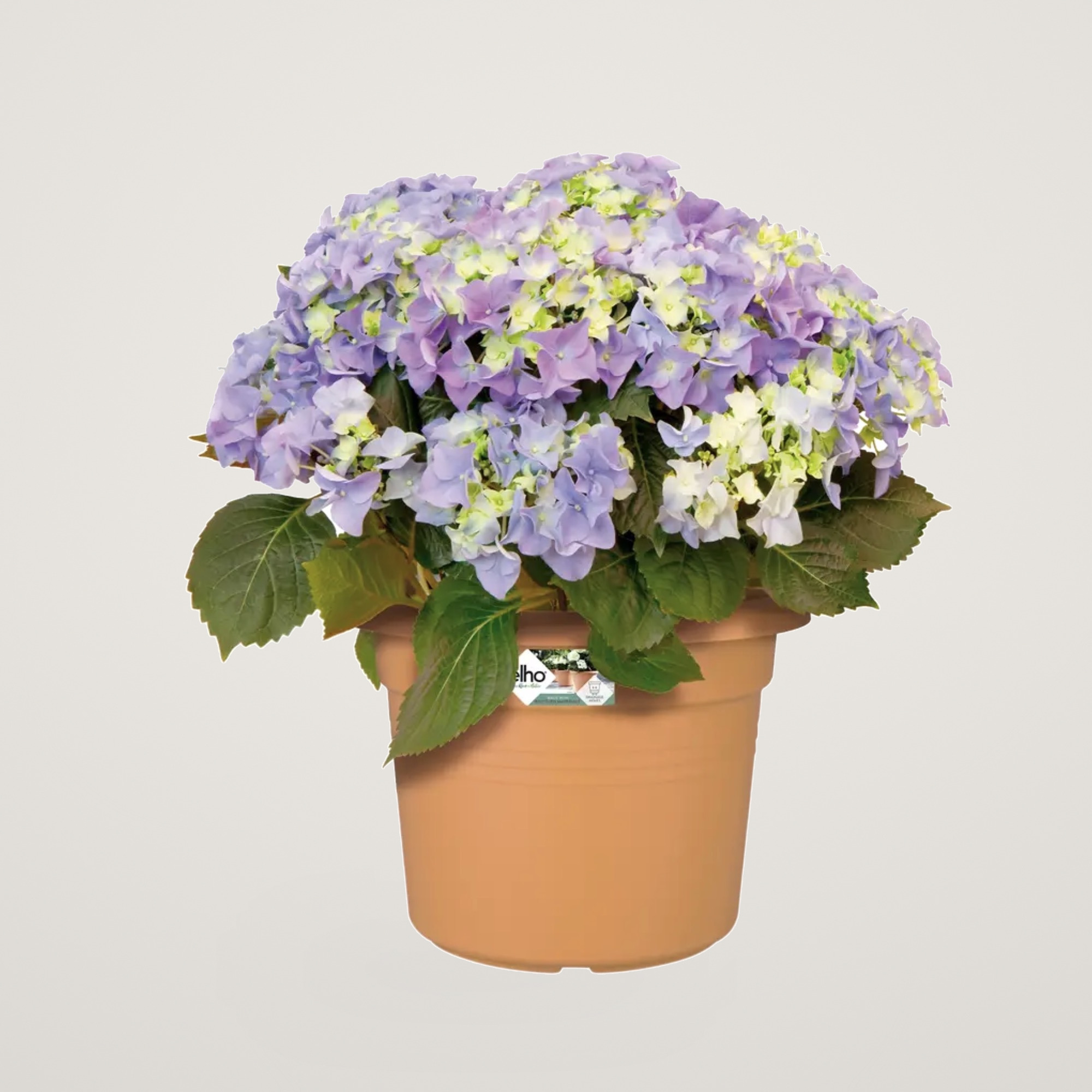 green basics cilinder 30cm mild terra - imagine 4
