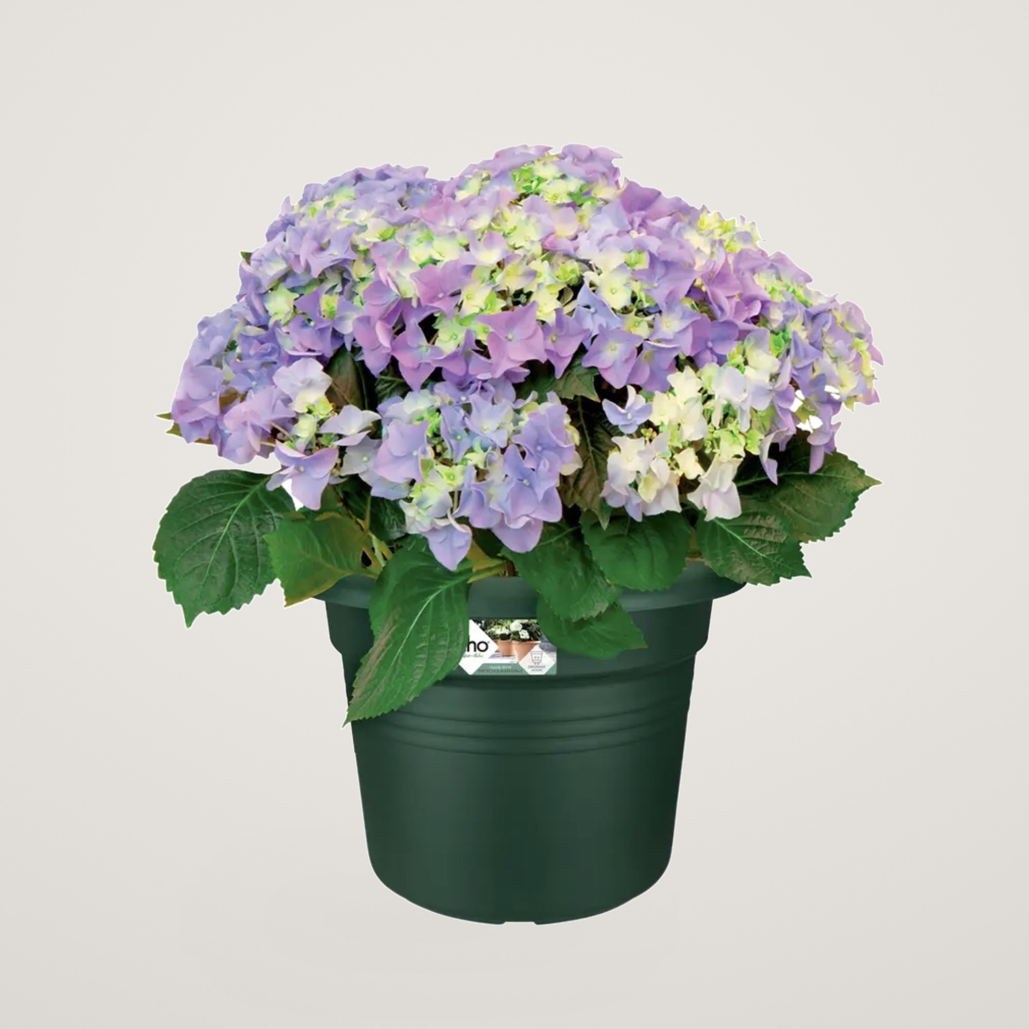 green basics cilinder 35cm leaf green - imagine 3