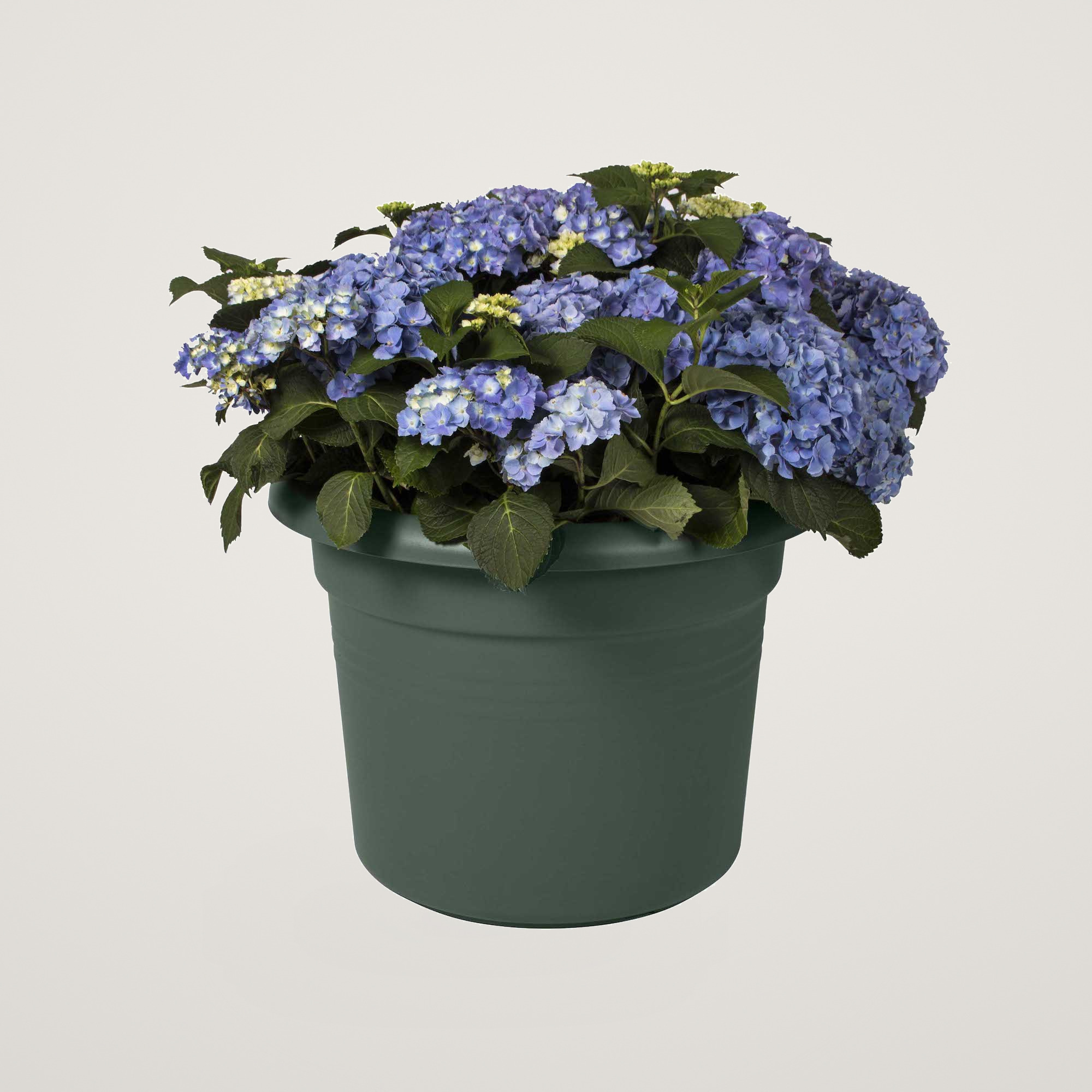 green basics cilinder 35cm leaf green - imagine 4