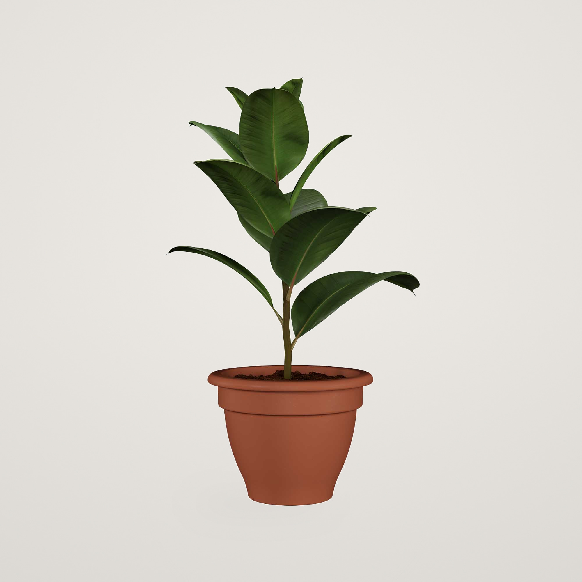 Ghiveci ceramic Pessoa Campana 37cm, culoarea natural - imagine 4