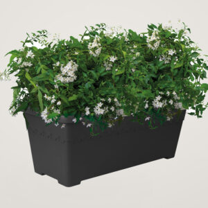 Jardiniera de gradina Elho Algarve Long 60 cm antracit
