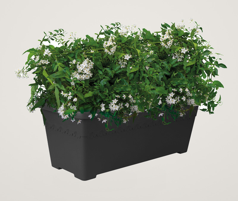 Jardiniera de gradina Elho Algarve Long 60 cm antracit