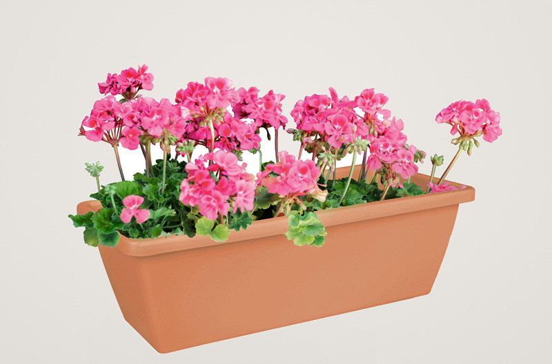 Jardiniera Elho Barcelona XL pentru terasa sau balcon 60 cm teracota - imagine 2