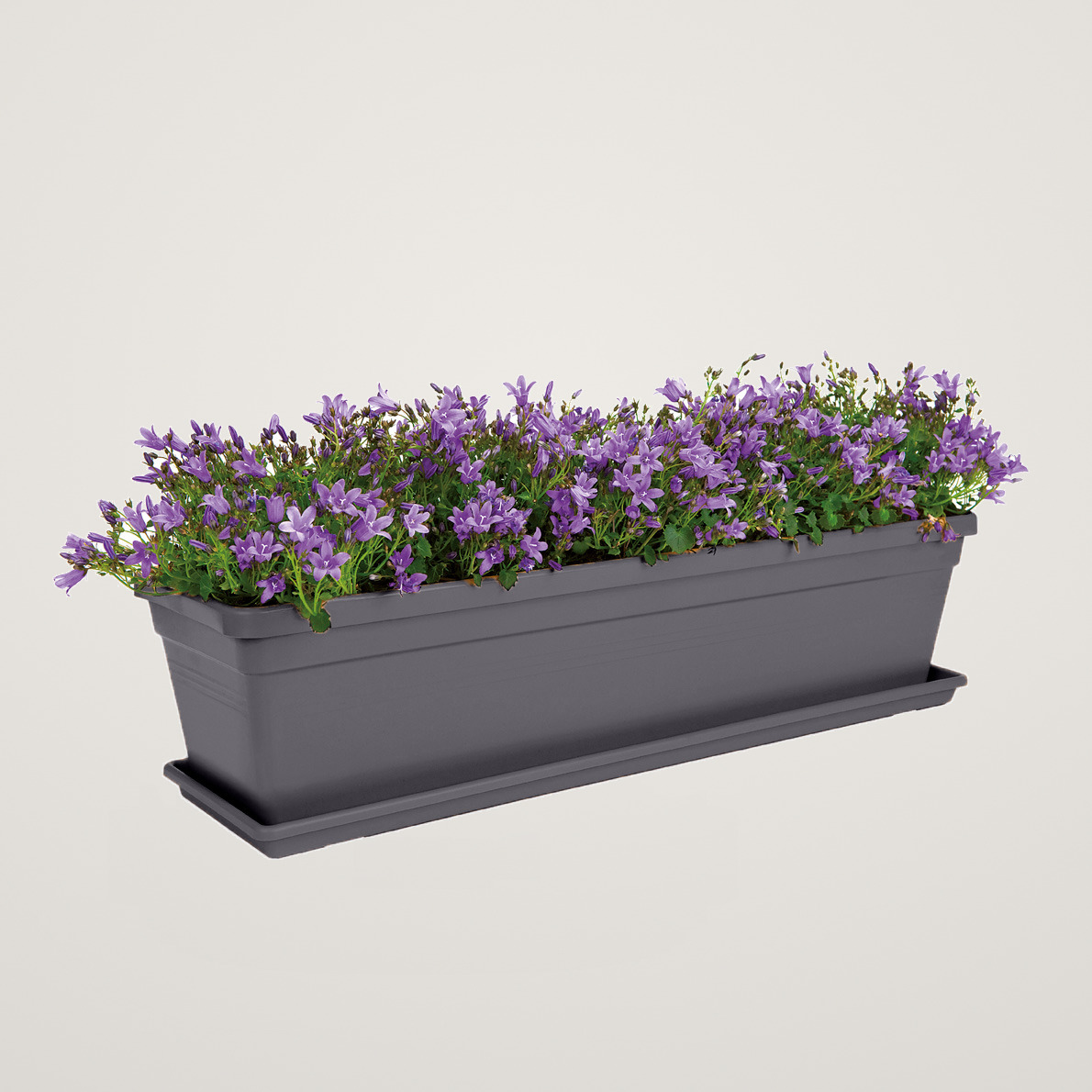 Jardiniera Green Basics 60 cm antracit