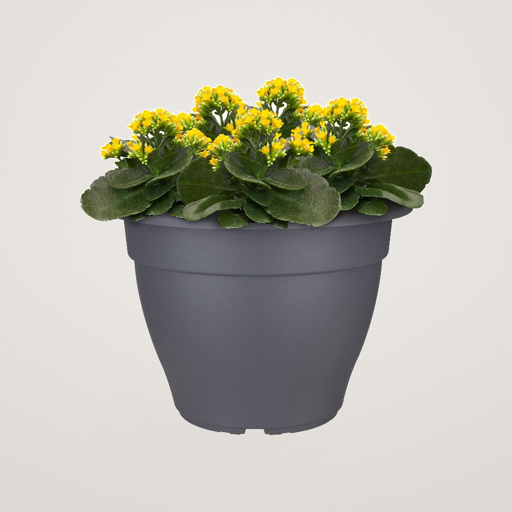 Ghiveci pentru exterior Torino campana 30 cm anthracit