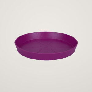 Farfurie Loft Urban Round 17 cm fucsia
