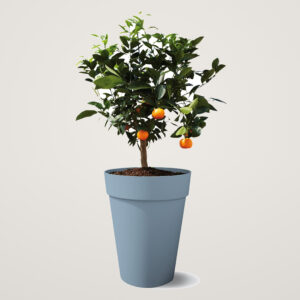 Ghiveci pentru plante de exterior Loft Urban Round High cu diametrul de 42 cm albastru