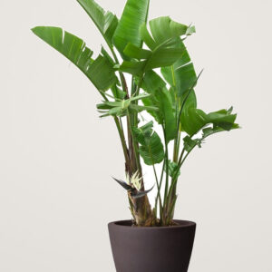 Ghiveci din material compozit plastic si lemn allure ellips 40 cm, culoare bark brown